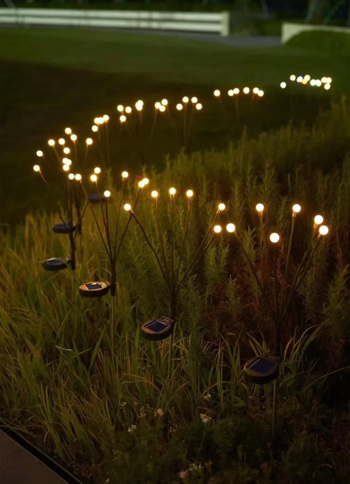 Fireflies